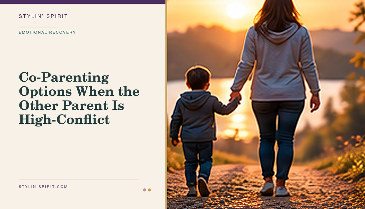 Stylin’ Spirit hero image for Co-Parenting Options When the Other Parent Is High-Conflict.